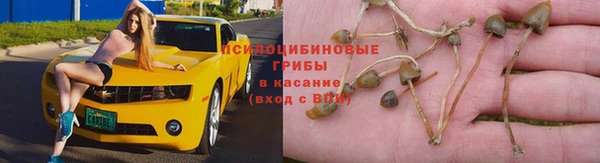 mdpv Беломорск
