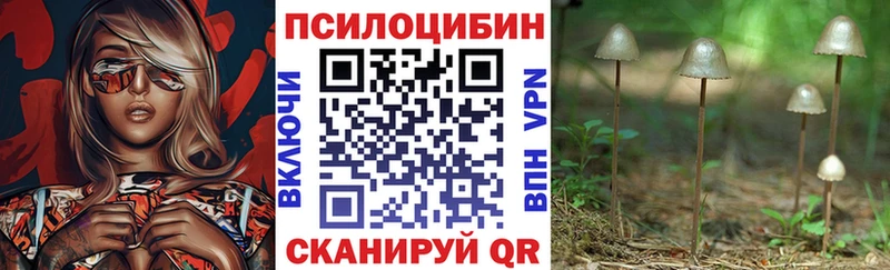 Купить закладки  Медвежьегорск  Галлюциногенные грибы MAGIC MUSHROOMS 